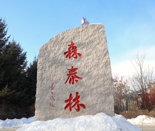 古瑞瓦特助力森泰木業(yè)實(shí)現(xiàn)零碳綠色未來